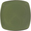 Bay Leaf Green Square