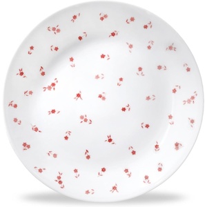 Corelle Sweet Flora 8.5″ Lunch Plates, Set of 6 | Floral Vitrelle Glass Salad & Lunch Plates | Lightweight, Chip-Resistant | Dishwasher, Microwave & Oven Safe | Made in USA(Sweet Flora)